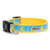Rubber Duck Walk Set – Collar & Leash