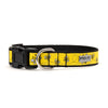 Bzzz! Walk Set – Collar & Leash