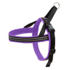 No-Choke Sport Dog Harness – Padded Control & Reflective Safety