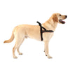 No-Choke Sport Dog Harness – Padded Control & Reflective Safety