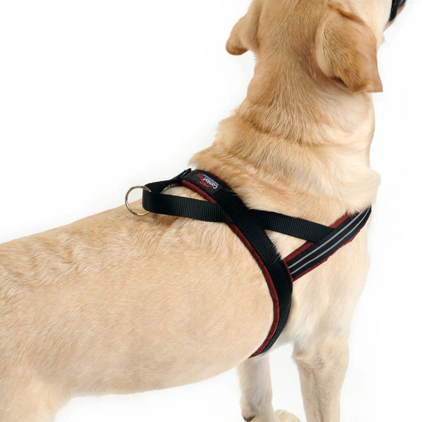 No-Choke Sport Dog Harness – Padded Control & Reflective Safety