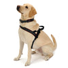 No-Choke Sport Dog Harness – Padded Control & Reflective Safety