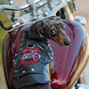 Vintage Motorcycle Dog Jacket – Faux Leather Biker Coat