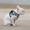 Choke-Free Step-In Dog Harness – Breathable Mesh & Secure Fit (Camo)
