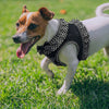 Choke-Free Step-In Dog Harness – Breathable Mesh & Secure Fit (Polka Dot)