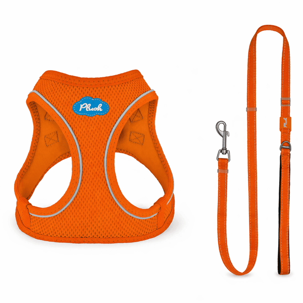 Breathable Air Mesh Step-In Dog Harness – Ultra-Light & Easy Fit
