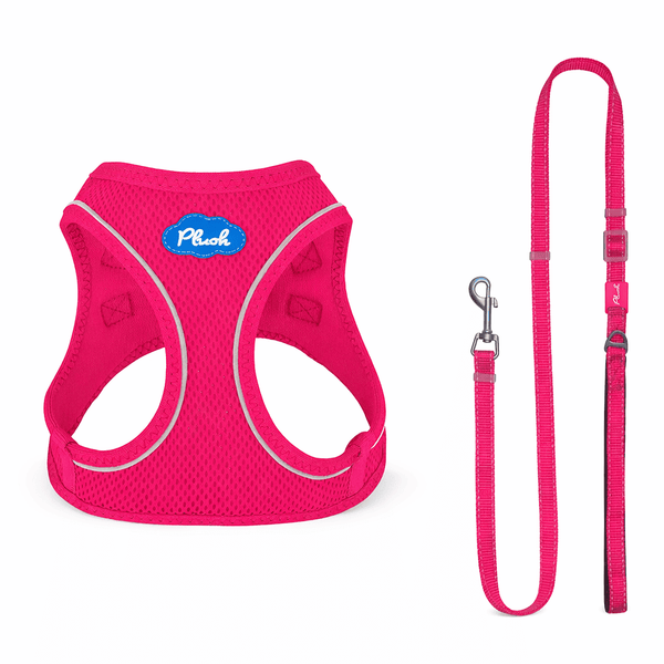 Breathable Air Mesh Step-In Dog Harness – Ultra-Light & Easy Fit