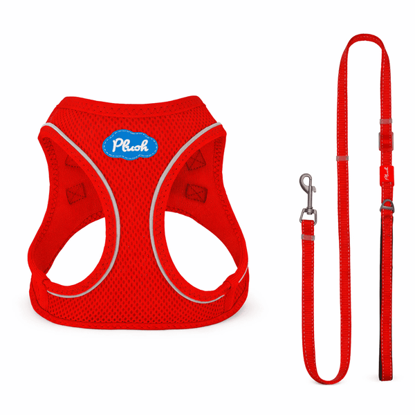 Breathable Air Mesh Step-In Dog Harness – Ultra-Light & Easy Fit