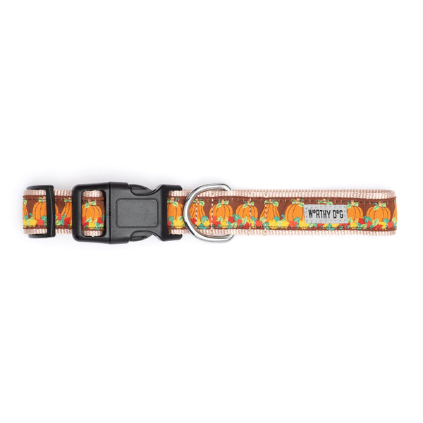 Pumpkin Patch Collar