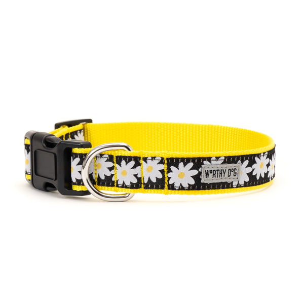 Lazy Daisy Walk Set – Collar & Leash