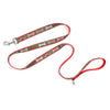 Festive Bones Walk Set – Collar & Leash