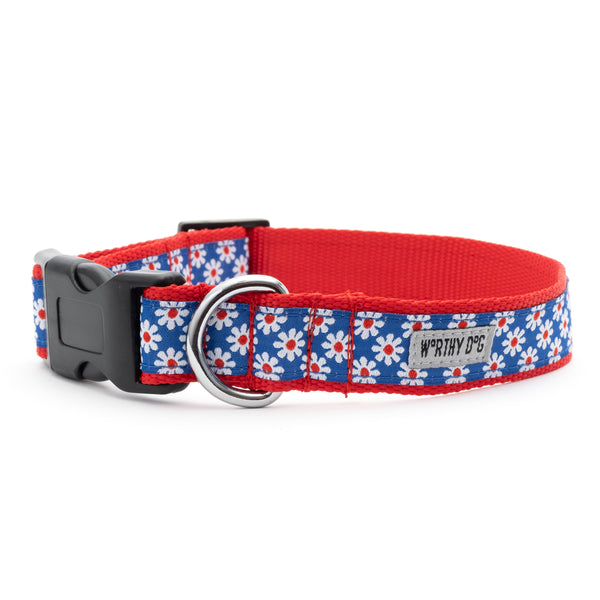 Daisies Collar
