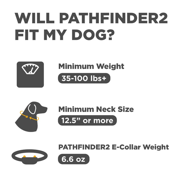 Dogtra PATHFINDER2 GPS Dog Tracking & Training Collar | 9-Mile Range | Up to 21 Dogs