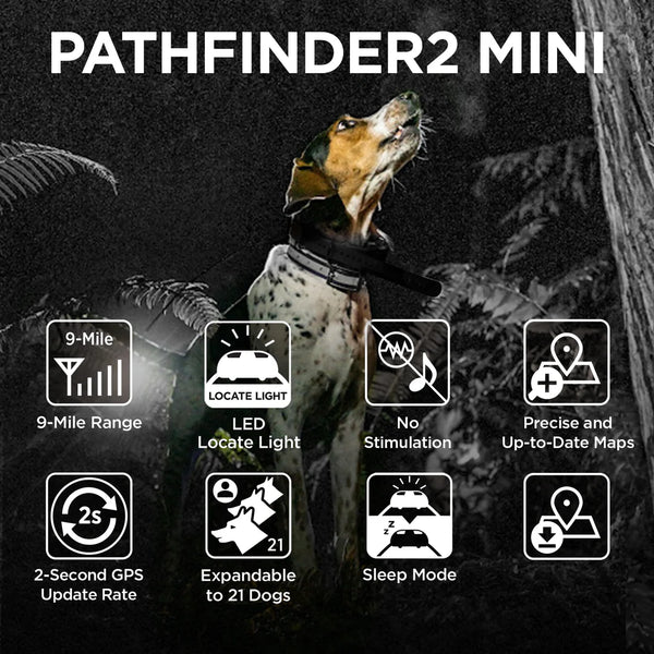 Dogtra PATHFINDER2 MINI Additional GPS E-Collar Receiver | 4-Mile Range | Up to 21 Dogs