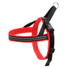 No-Choke Sport Dog Harness – Padded Control & Reflective Safety