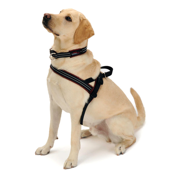 No-Choke Sport Dog Harness – Padded Control & Reflective Safety