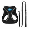 Breathable Air Mesh Step-In Dog Harness – Ultra-Light & Easy Fit