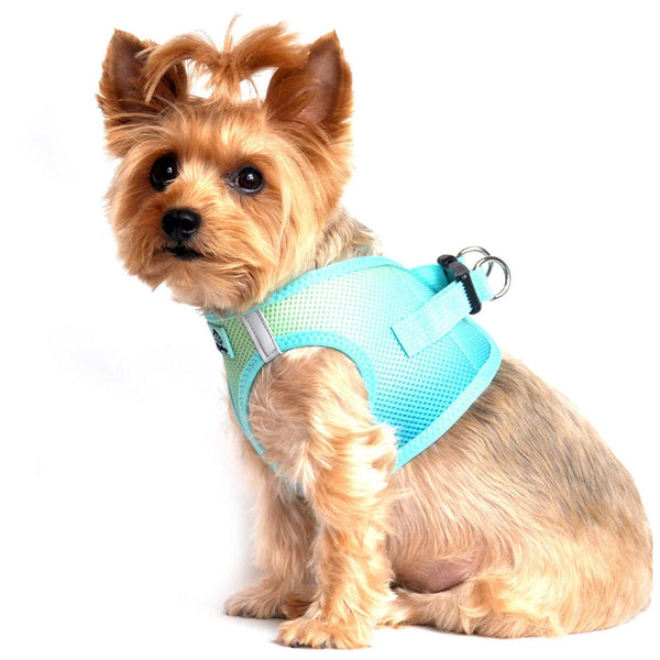 Choke-Free Step-In Dog Harness – Breathable Mesh & Secure Fit (Ombre)