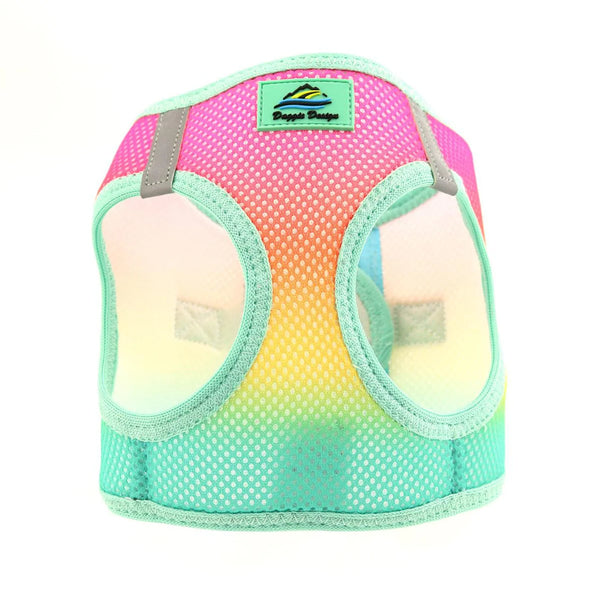 Choke-Free Step-In Dog Harness – Breathable Mesh & Secure Fit (Ombre)