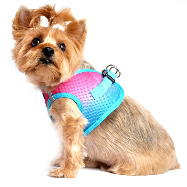 Choke-Free Step-In Dog Harness – Breathable Mesh & Secure Fit (Ombre)