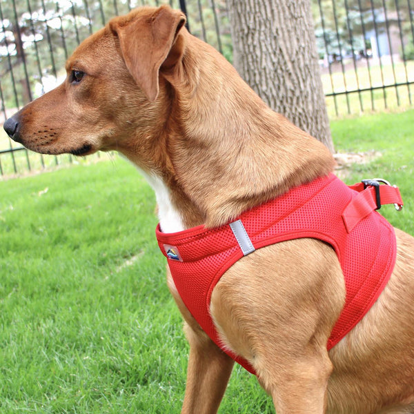 Choke-Free Step-In Dog Harness – Breathable Mesh & Secure Fit (Solid)