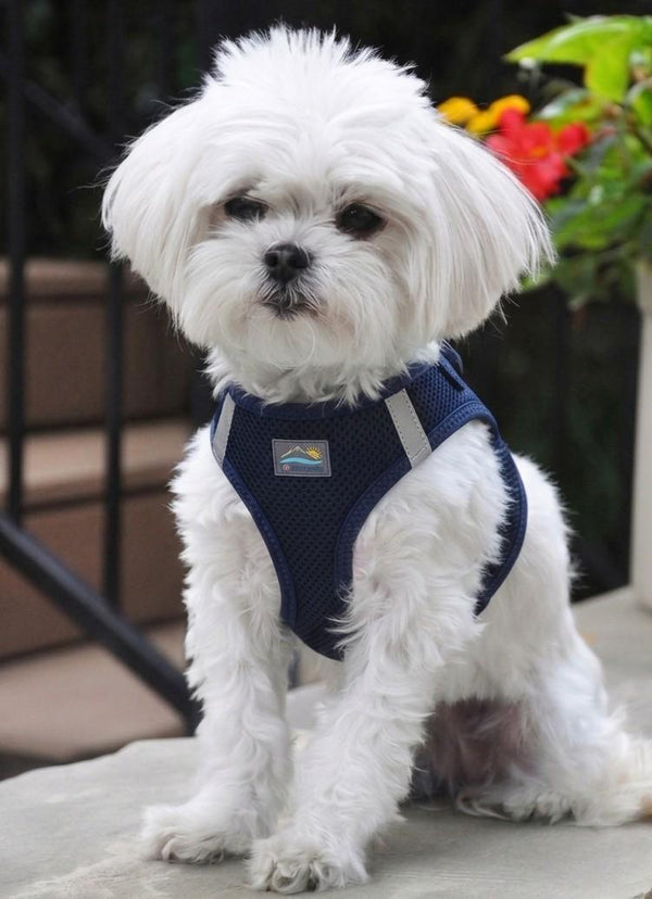 Choke-Free Step-In Dog Harness – Breathable Mesh & Secure Fit (Solid)