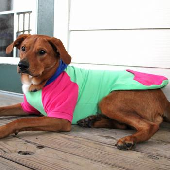 Color-Block Hoodie - Pink on Mint