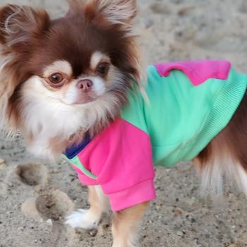 Color-Block Hoodie - Pink on Mint