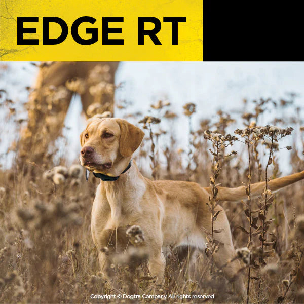 Dogtra EDGE RT Remote Training E-Collar | Up to 3 Dogs | 1 Mile Range