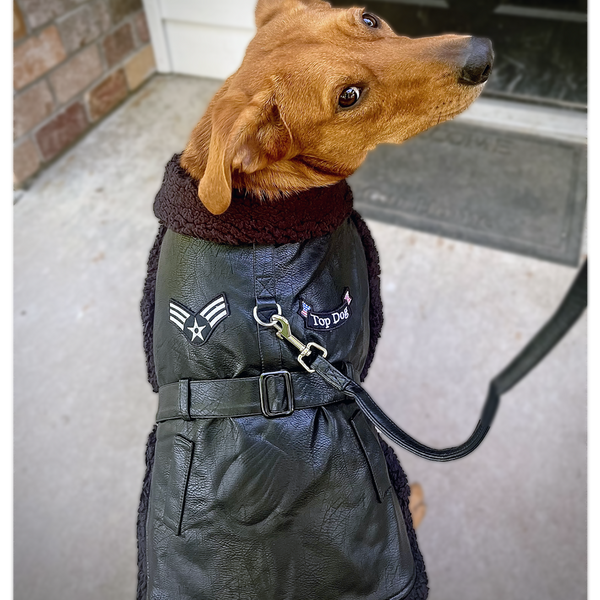 Faux Leather Dog Harness Coat & Leash Set – Black Flight Jacket