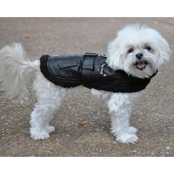 Faux Leather Dog Harness Coat & Leash Set – Black Flight Jacket
