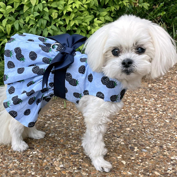 Dog Harness Dress & Leash Set – Blackberries Print