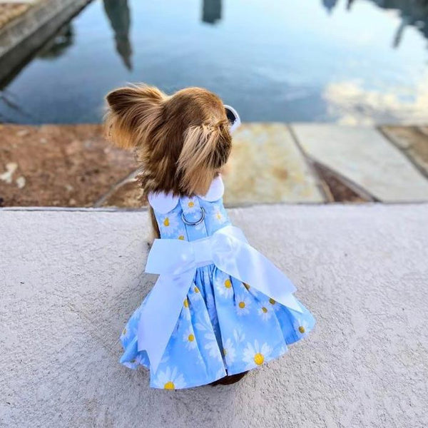 Dog Harness Dress & Leash Set – Blue Daisy Floral