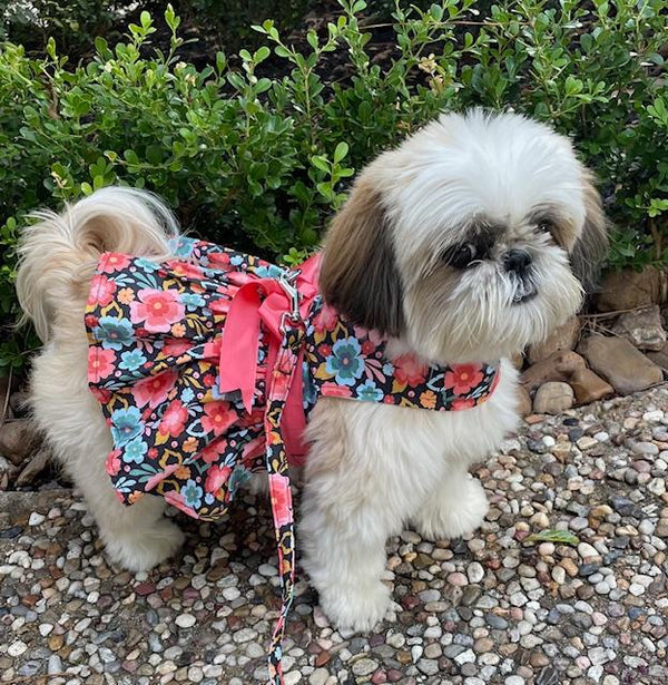 Dog Harness Dress & Leash Set – Blue & Peach Floral