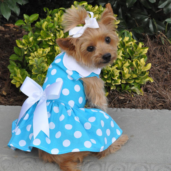 Dog Harness Dress & Leash Set – Blue Polka Dot
