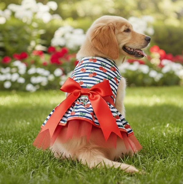 Dog Harness Dress & Leash Set – Cherry Stripe