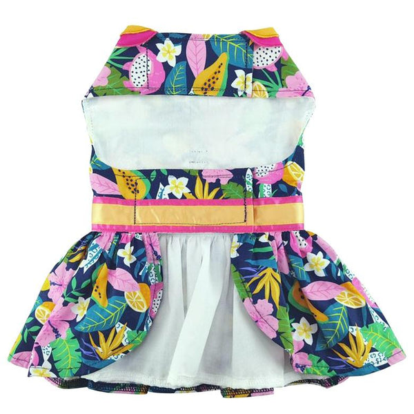Dog Harness Dress & Leash Set – Fiesta Floral