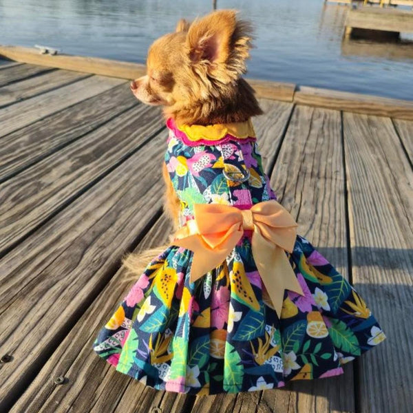 Dog Harness Dress & Leash Set – Fiesta Floral
