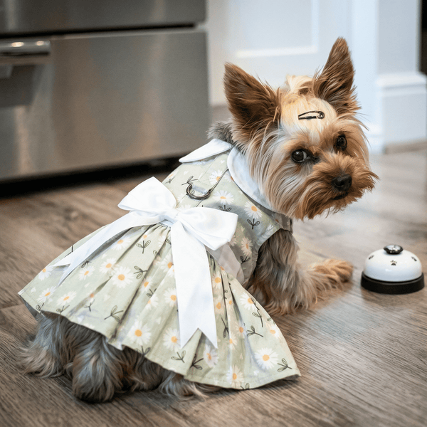 Dog Harness Dress & Leash Set – Mint Green Daisy