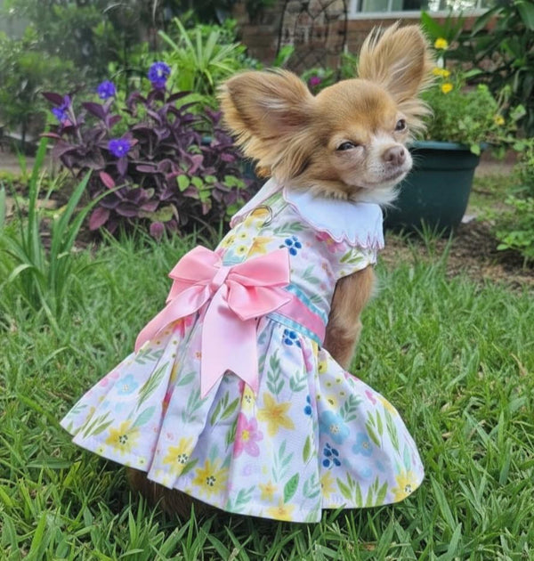 Dog Harness Dress & Leash Set – Pastel Meadow Floral