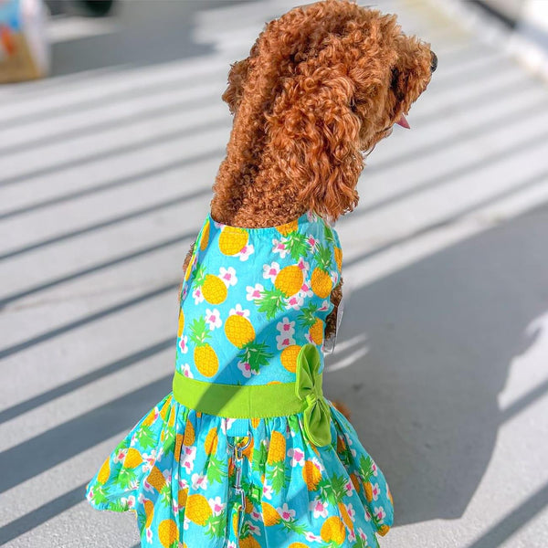 Dog Harness Dress & Leash Set – Pineapple Luau Tropical
