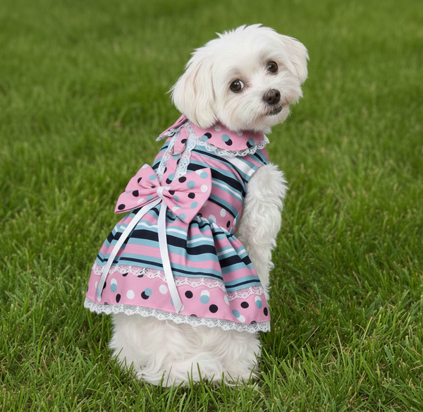 Dog Harness Dress & Leash Set – Pink & Teal Dots & Stripes