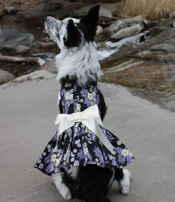 Dog Harness Dress & Leash Set – Purple Twilight Hawaiian