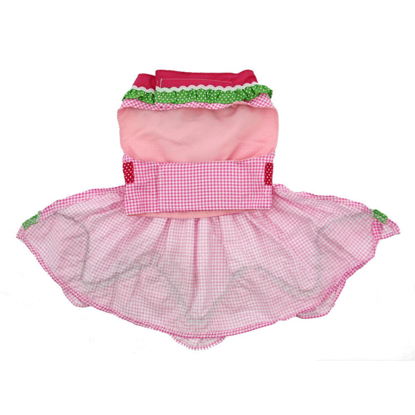 Dog Harness Dress & Leash Set – Watermelon Summer
