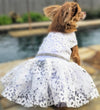 Dog Harness Wedding Dress & Leash Set – White Lace
