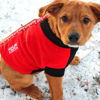 Highline Fleece Dog Coat - Red and Black with Rolling Bones