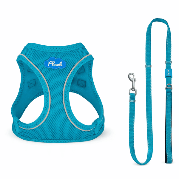 Breathable Air Mesh Step-In Dog Harness – Ultra-Light & Easy Fit