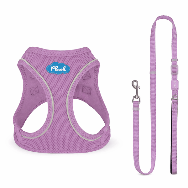 Breathable Air Mesh Step-In Dog Harness – Ultra-Light & Easy Fit