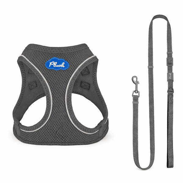 Breathable Air Mesh Step-In Dog Harness – Ultra-Light & Easy Fit