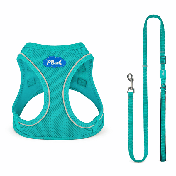 Breathable Air Mesh Step-In Dog Harness – Ultra-Light & Easy Fit